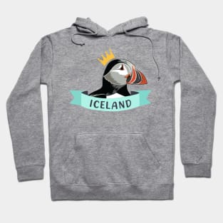 Atlantic Puffin muffin Birds Iceland Ocean Common puffins Hoodie